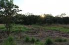 Se vende lote en Algarrobos colindante a una barriada. Chiriqu