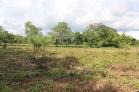 Se vende finca de 1 Hectrea ideal para lotificar. Chiriqu