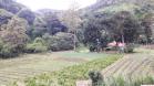 Finca Cerro Punta2