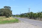 Venta de lote en ALANJE 3,000 m2 en la Va Principal. Chiriqu