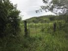 Venta de finca en Caldera $5,000 x HA. Chiriqu