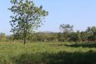 finca chiriqui