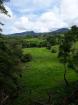 Venta de finca en remedios 13
