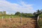 Lote de 1,000 m2 en venta en Playa Las Lajas a 300 metros del mar. Chiriqu