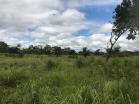 Venta de finca en Cochea 1.9 HA. Chiriqu