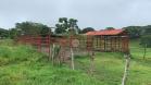 Venta de 60 HA con vistas impresionantes y suelos fértiles - Caisán, Renacimiento, Chiriquí, Panamá