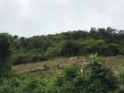 Venta Hermosa de Finca en Cerro Punta, Tierras Altas, Chiriqu 8