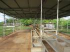 Finca autosuficiente en Venta en Chiriqu. Finca que todos desean tener!