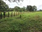 venta de 1.8 ha en caimito dolega 3