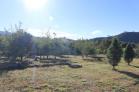 Lote especial en Venta de lote en Volcn. Chiriqui