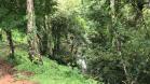 Finca en Palmira 11