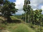 Venta e Finca en Volcan. Ideal para hacer su casa al gusto. Chiriqu, Panam