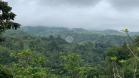 32.6 HA en Volcán - Concesión de Agua, Producción de Café y Variados Cultivos. Tierras Altas, Chiriquí, Panamá