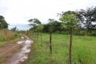 Lote en venta en San Carlos 900 m2 BARATO. Chiriqu