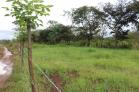 Lote en venta en San Carlos 900 m2 BARATO. Chiriqu