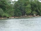 Finca con frente de playa en Bocas del Toro. Playa Bluff