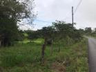 Venta de finca en caisan 13