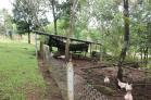 Se vende casa con 1 HA de terreno en Tinajas, Chiriquí