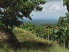 Venta e Finca en Volcan. Ideal para hacer su casa al gusto. Chiriqu, Panam