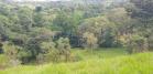 Venta de finca en remedios 7