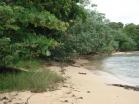 Finca con frente de playa en Bocas del Toro. Playa Bluff