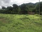 venta de lote para uso residencial en San Carlitos 5