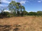 Venta de lote de 2,000 m2 en EL Flor de Dolega. Chiriqu
