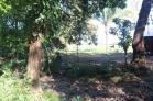 finca chiriqui venta sale farm