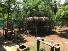 Venta de casa en la arboleda 13