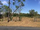 Venta de lote de 2,000 m2 en EL Flor de Dolega. Chiriqu