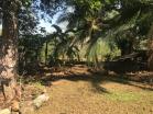 Venta de Casa en portachuelo 5
