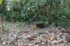 Espectacular lote en San Pablo en venta con casi 40 metros de frente. Chiriqu