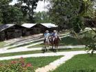 Finca Ganadera de 64 Ha con casa de campo amoblada en venta, Breñon, Renacimiento, Chiriquí 